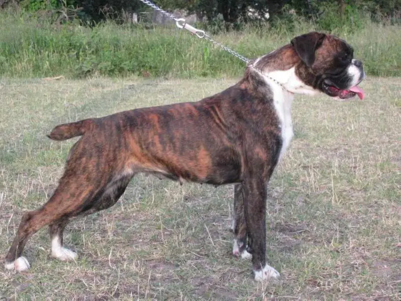 Feruza Latina Pantoja