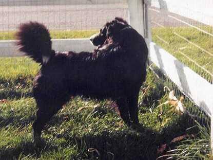 It'za Demost Happy Fella