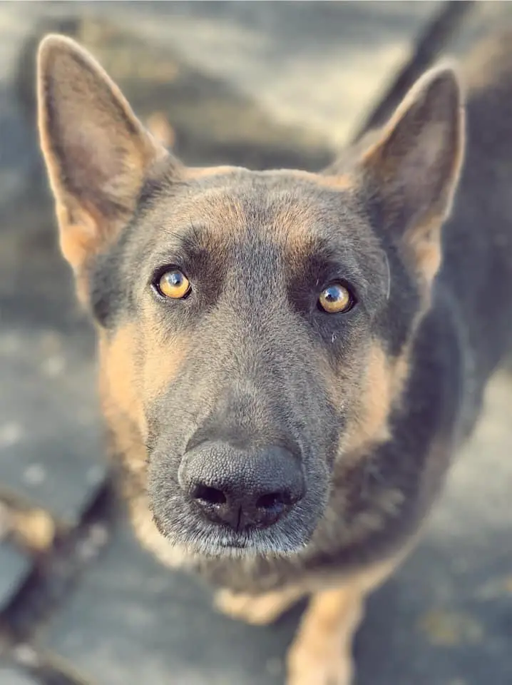 Klt's Once In A Blue Moon