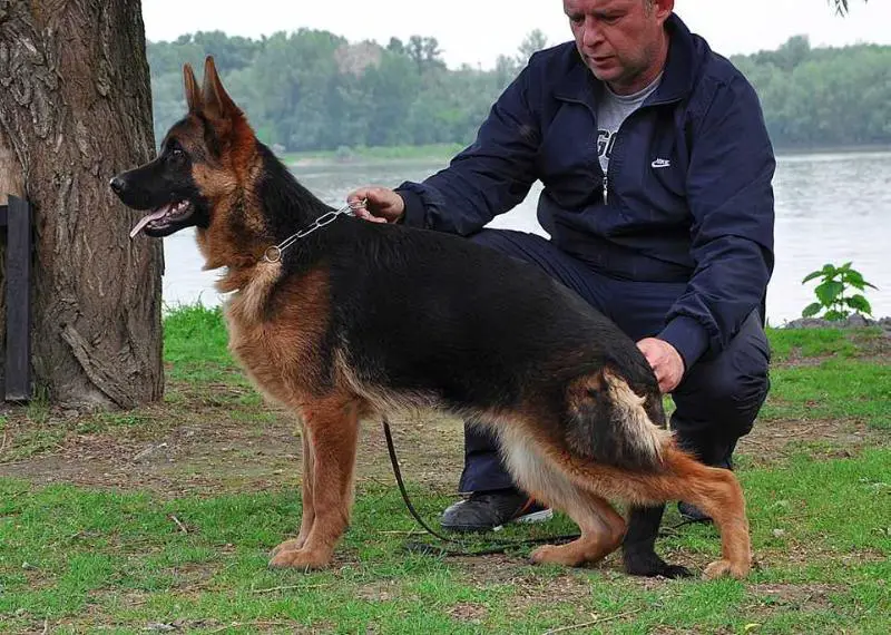 SG1 Trajana v.d. Alexander