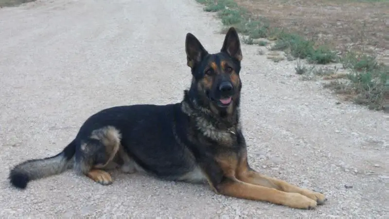 Thor Walksthrough Thunder