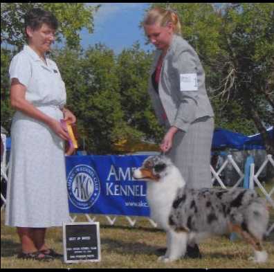 GCH Starvalley's Designer Diamonds