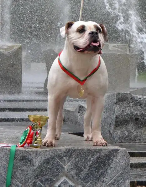 CH RUS, Gred Gard Littl Po