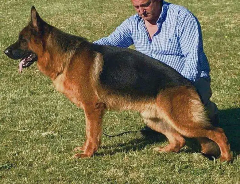 V Emo Von Furstemberg