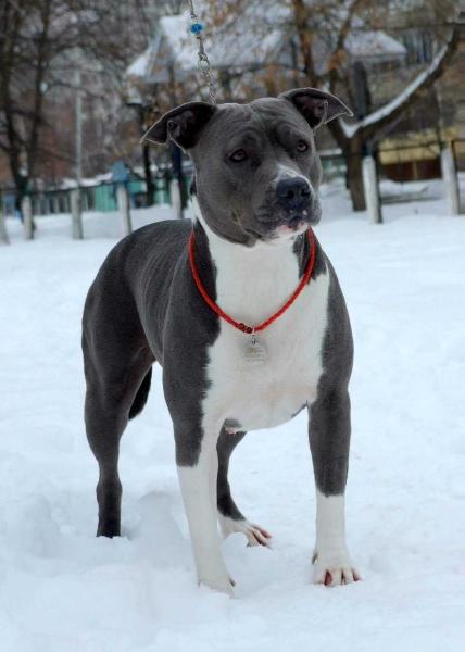 ROSE MARIE FROM VIKTORIYA CITY