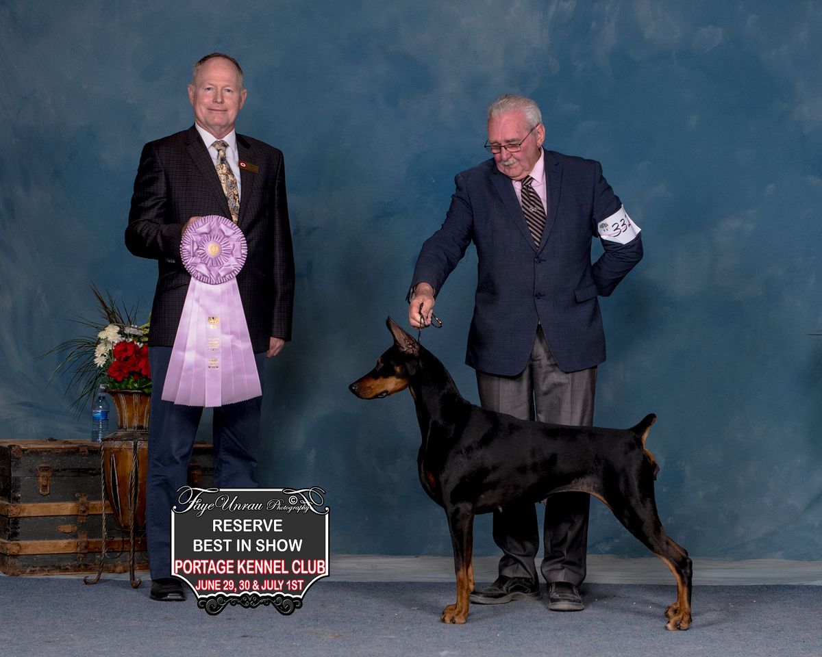 RBIS GCH Calie Liddle de Black Fortress