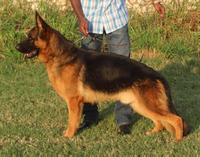 Brendon di Casa Maggiore