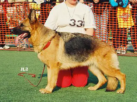 VA1(RUS-2001) Ulla Endrefalva