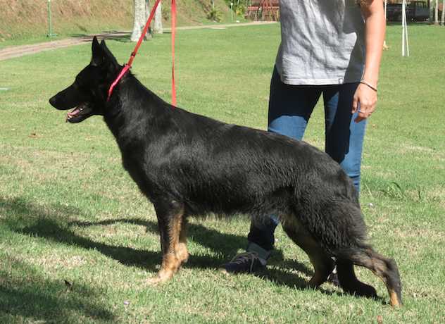 A-Sophie do Lufrathan