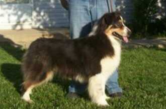 Turbo Don't Talk Back At Braemar