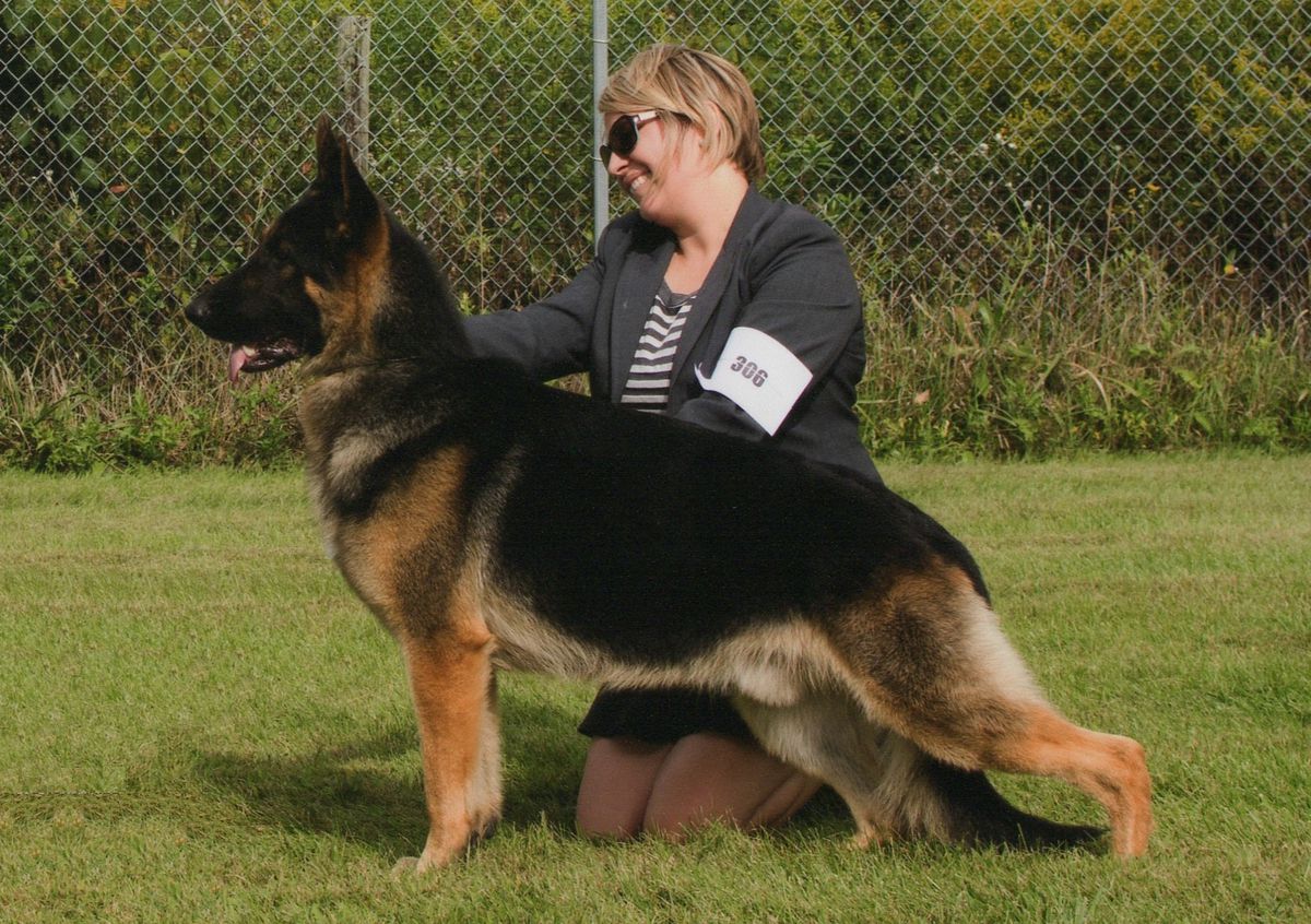 RMD GCH CH Lindenhill's Iron Throne v Gracelyne