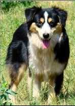 Cabalina's Carabelle