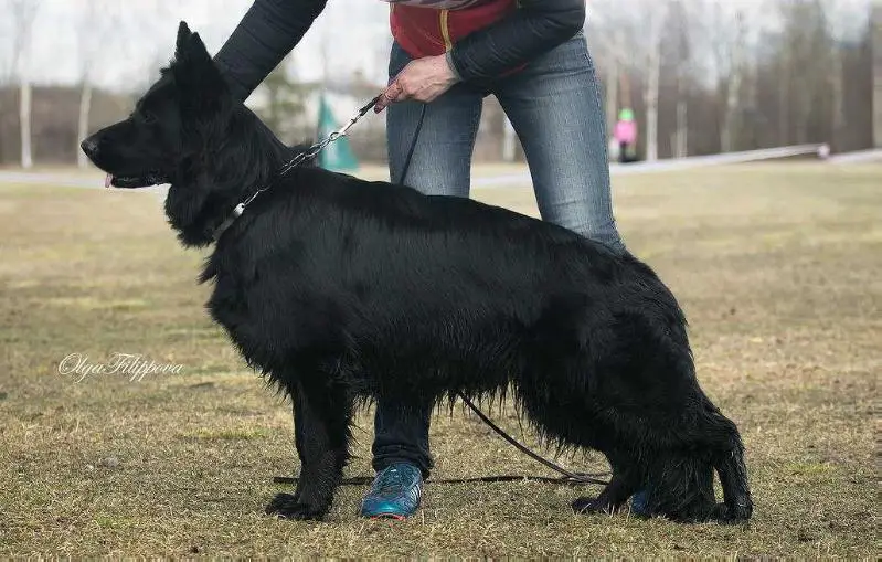 Severnaya Luna Evra
