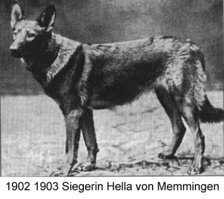 1902/03 SGRN Hella von Memmingen