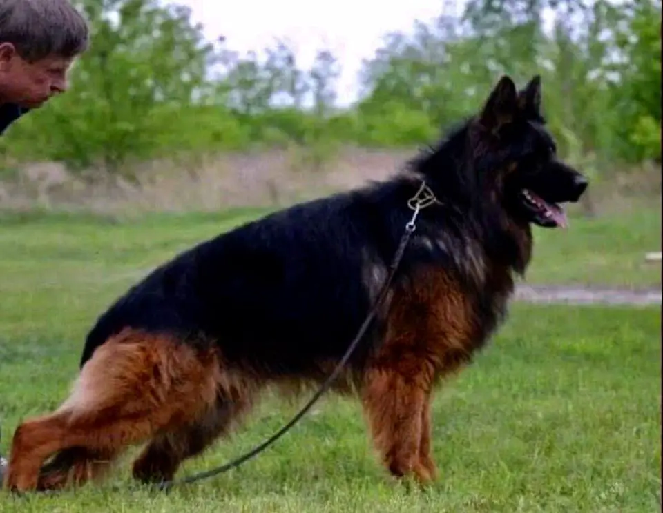 BASTON z Heydlowego Wzgórza