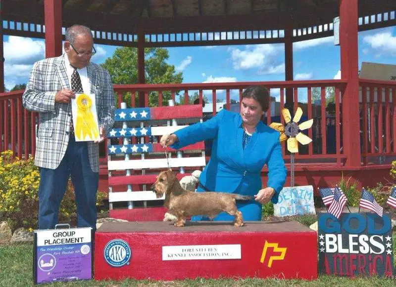 Dual Champion FC Multiple Group Placing GCHB EJ's Fancied Up Solo Pup MW