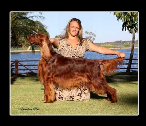 BR PAN CH Brigitte Chasse