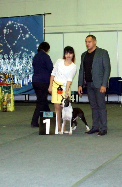 JCH. Russia, CH.Russia, CH.RKF, CH. Khakasia. Golden Heart Winner Best Sharm (Аlya)