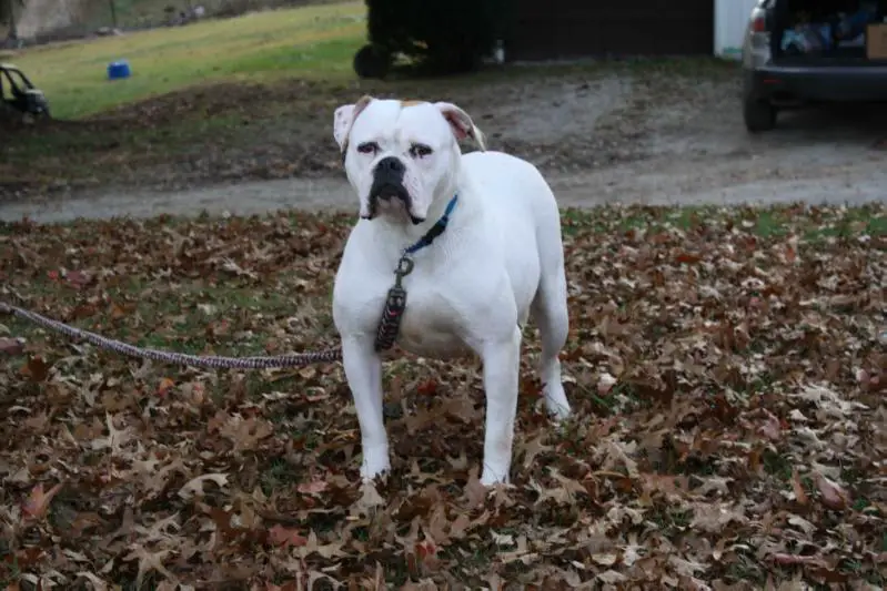 Secrest's myah of urban's