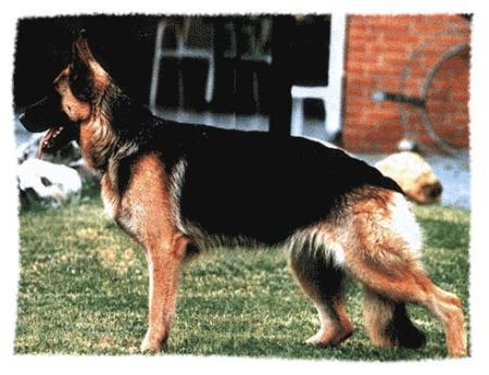 Olympia von der Börde