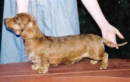 Drakesleat Mandy Pumps