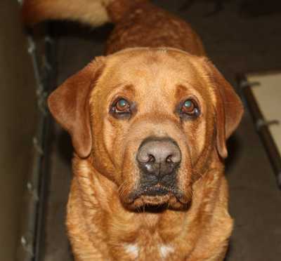 Kelleygreens Baby Light My Fire