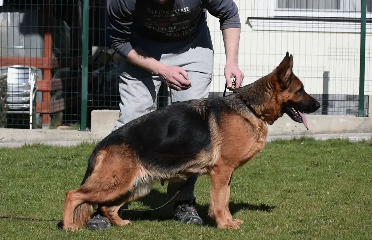 Katarza De La Madonina