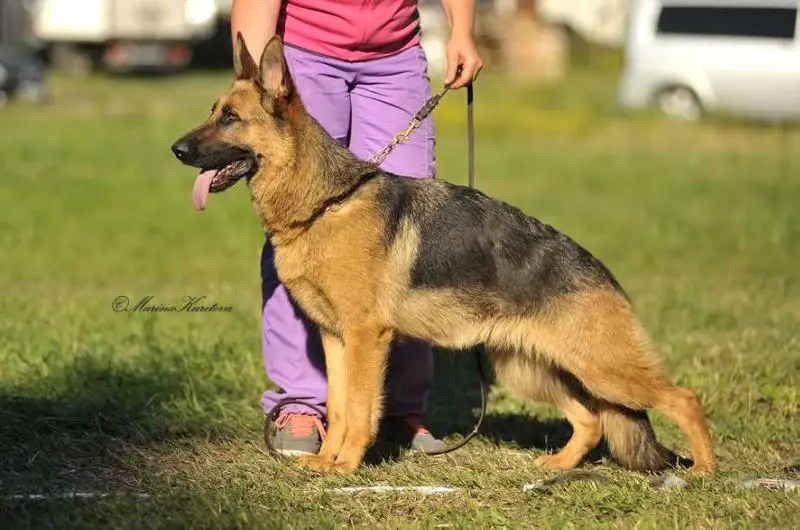 Atsel Hof Kaxana