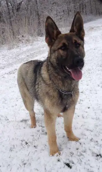 Fama Von Der Jubricht