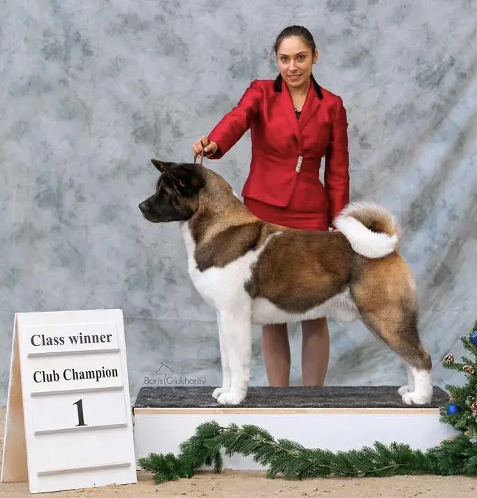 Ruthdales Mean Machine