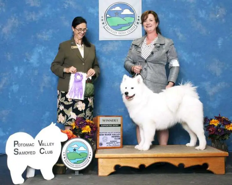 Krystal Zima's Dances On Air