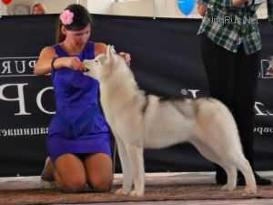 RIVA PALASIO MIA FARTUNA