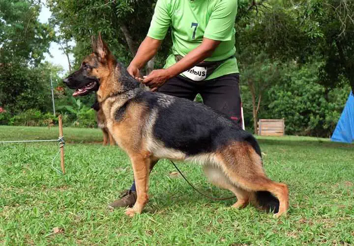 Yuna von der Lars-Aue