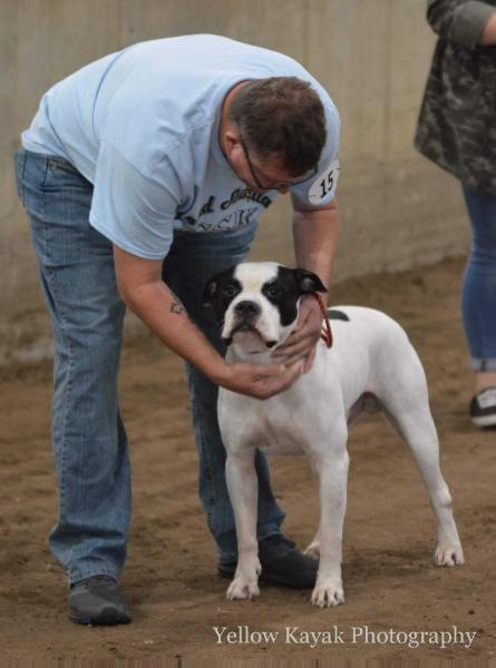 NKC/ABA Ch 2 time Nat Win GSK's Deacon