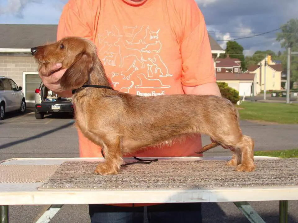 VHH Railways Finest China MW