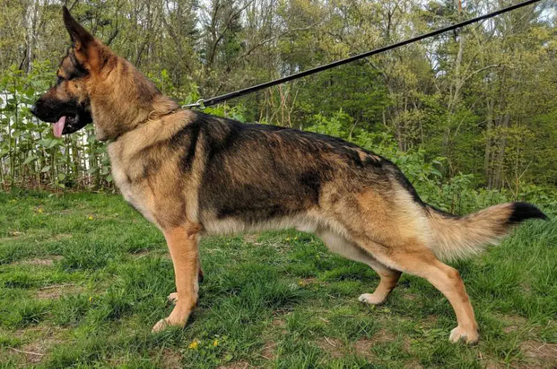 Jake Von Hohen Bergen