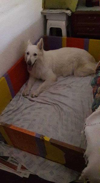 thais de kupal kuyen