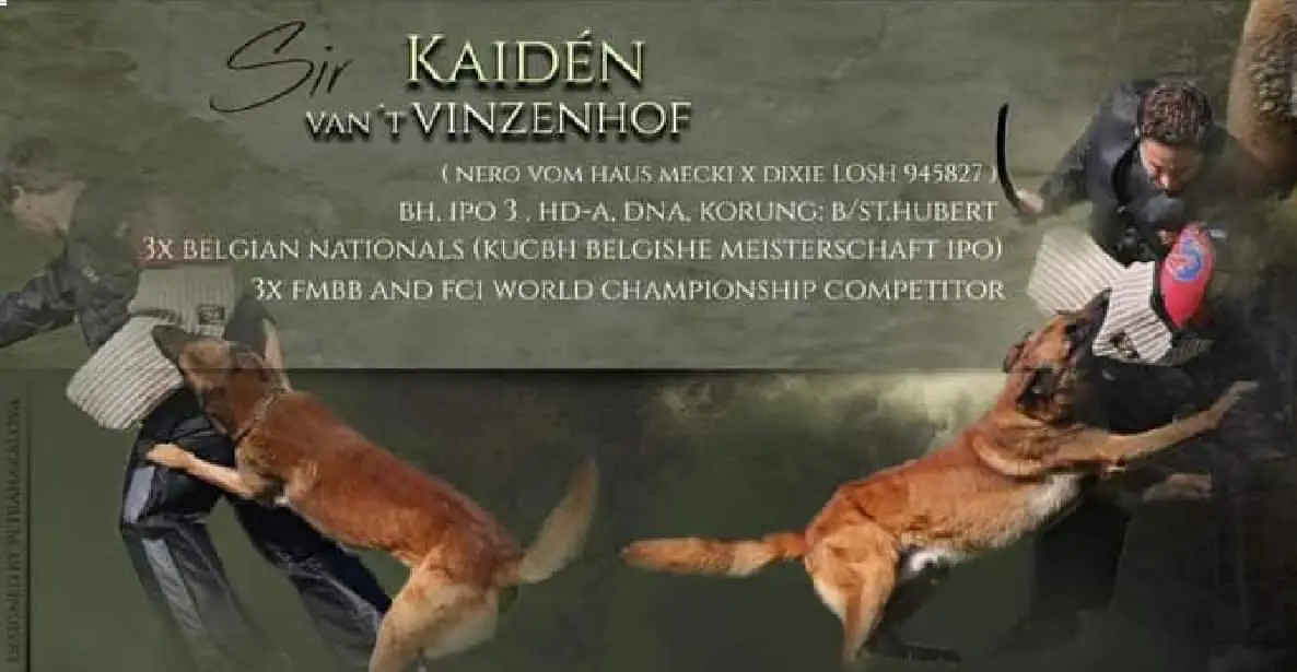 Kaidén Van't Vizenhof