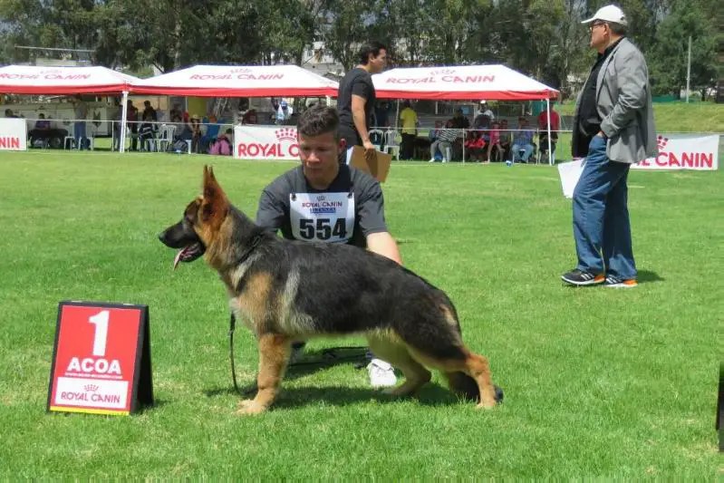 Akane Von Der Mondlicht