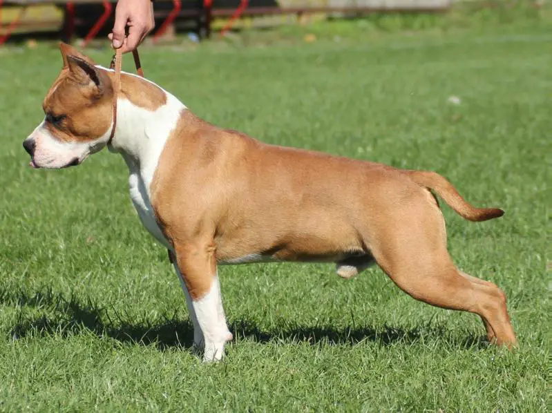Thunder Rock’s Sniper Vasili Zaitsev