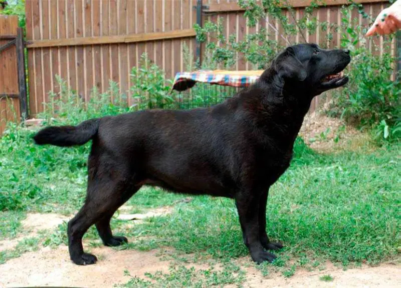 MY BRAND MISS VEY TALIE