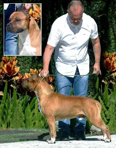 Rainbow Fire Krimson Tide