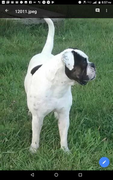 Cindy Jo's Slim Pickins