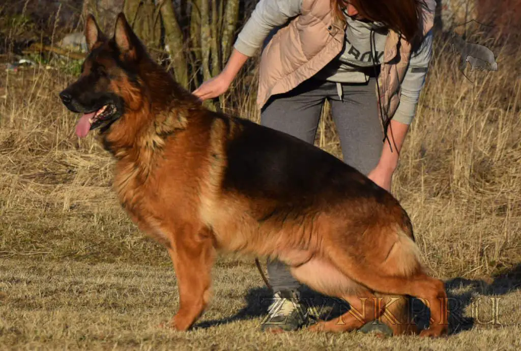 Zilber Wasserfall YAMAGUCHI