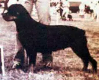 Rhoda Dolli vom Nordon