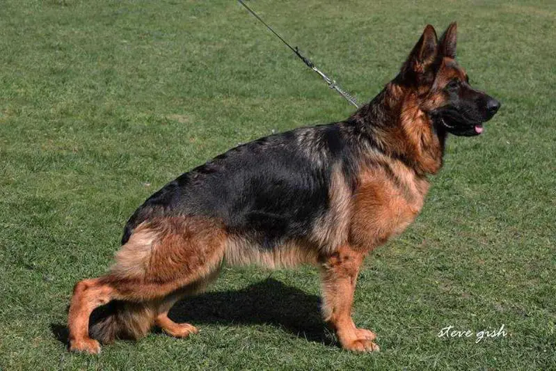 VA Princess dei Murolo