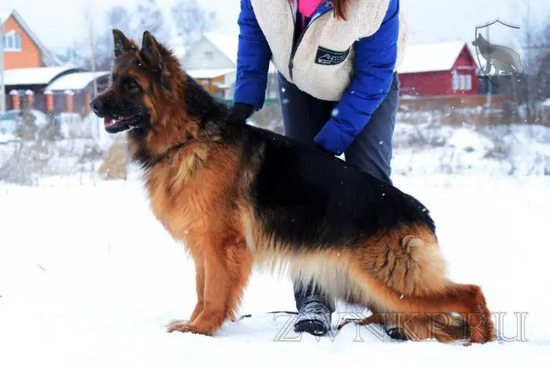 Team Zilber Wasserfall FORTUNA