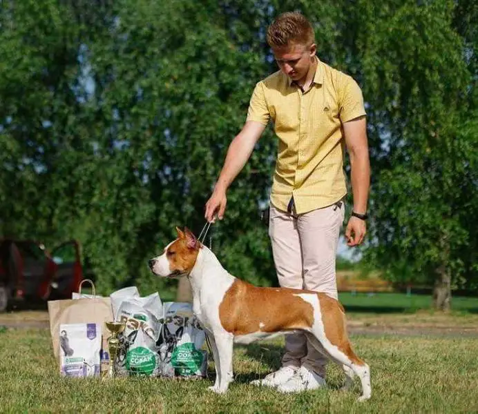 Shining Diamond Iriss Djessika