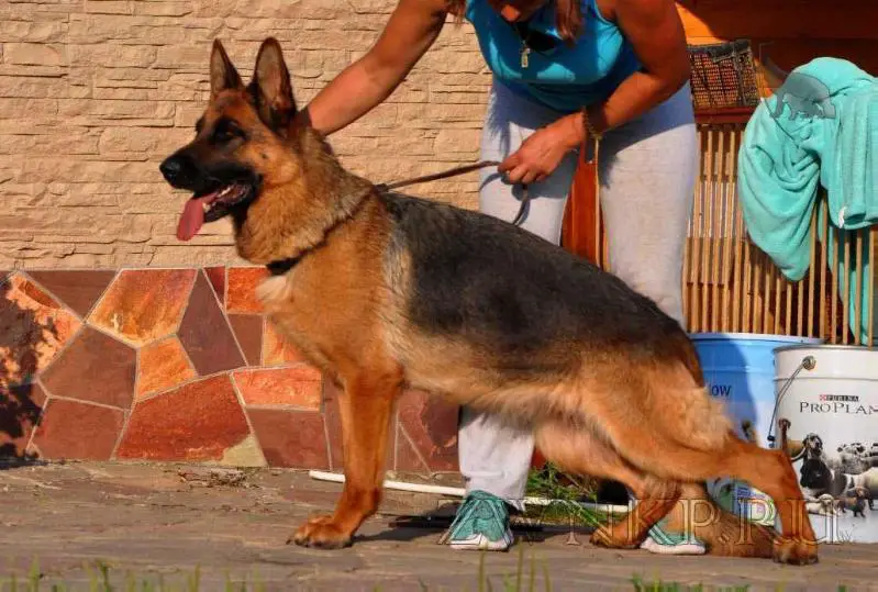 Zilber Wasserfall LAMANTA (2014)