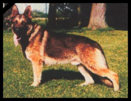 V Cimo v. Tiekerhook